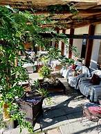 Hotel Vendimia Parador