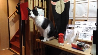 Kyoto Shirakawa Kiraku Inn - Hostel