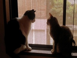 Kyoto Shirakawa Kiraku Inn - Hostel