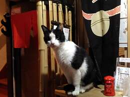 Kyoto Shirakawa Kiraku Inn - Hostel