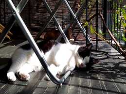 Kyoto Shirakawa Kiraku Inn - Hostel