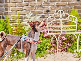 Riverside Arashiyama
