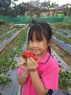 Thong Hug House Resort