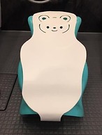 Hotel Biwako Cerisaie