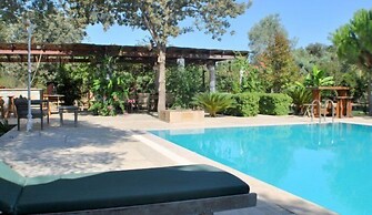 Bitez Muhafazakar Villa Ekrem