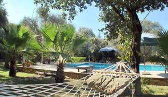 Bitez Muhafazakar Villa Ekrem