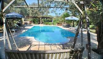 Bitez Muhafazakar Villa Ekrem