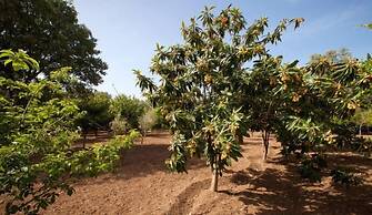 Bitez Muhafazakar Villa Ekrem