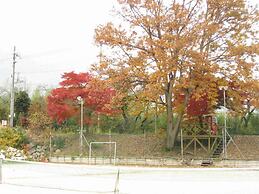 Onsen Hotel Holiday Afternoon