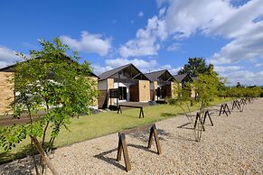 Onsen Hotel Holiday Afternoon