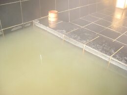 Onsen Hotel Holiday Afternoon