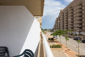 Jardines del Mar II