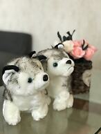 Xi'an Phoenix Holiday Hotel