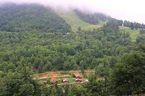 Camping Yoghi e Bubu