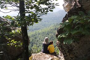 Camping Yoghi e Bubu