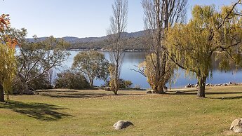 Grey Kangaroo- On Lake Jindabyne foreshore