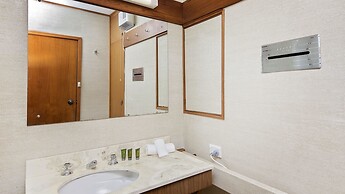 Grey Kangaroo- On Lake Jindabyne foreshore