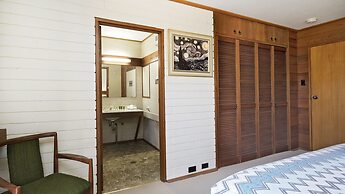 Grey Kangaroo- On Lake Jindabyne foreshore