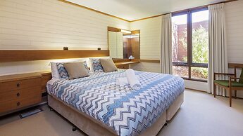 Grey Kangaroo- On Lake Jindabyne foreshore