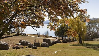 Grey Kangaroo- On Lake Jindabyne foreshore