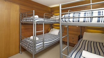 Grey Kangaroo- On Lake Jindabyne foreshore