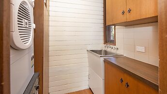 Grey Kangaroo- On Lake Jindabyne foreshore