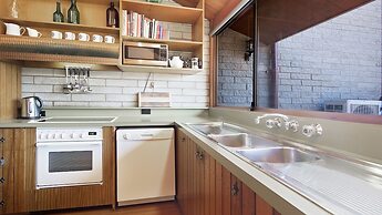 Grey Kangaroo- On Lake Jindabyne foreshore