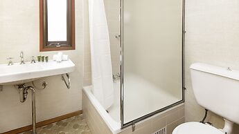 Grey Kangaroo- On Lake Jindabyne foreshore