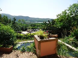 Agriturismo La Vecchia Quercia