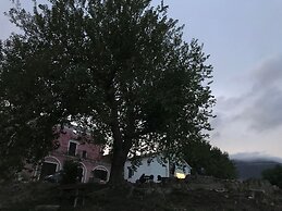 Agriturismo La Vecchia Quercia