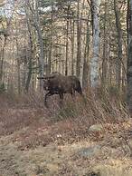 Moose Lodge and Cabins by Bretton Woods Vacations