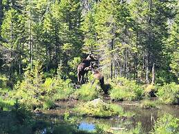 Moose Lodge and Cabins by Bretton Woods Vacations