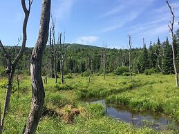 Moose Lodge and Cabins by Bretton Woods Vacations