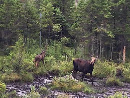 Moose Lodge and Cabins by Bretton Woods Vacations