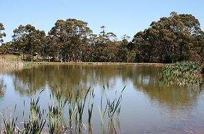 Craggy Peaks Wilderness Cabins