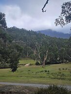 Craggy Peaks Wilderness Cabins