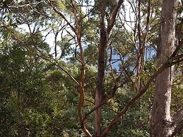 Craggy Peaks Wilderness Cabins