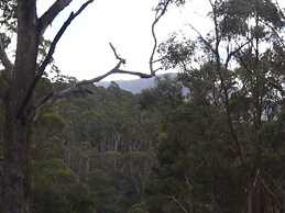 Craggy Peaks Wilderness Cabins