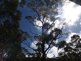 Craggy Peaks Wilderness Cabins