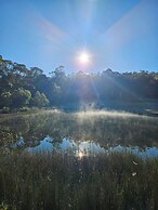 Craggy Peaks Wilderness Cabins