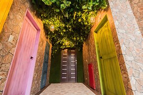 Alice Wonderland B&B