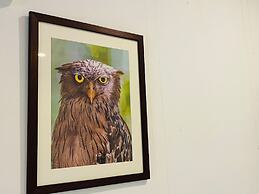 Funky Leopard Safari Lodge Bordering Yala National Park - Hostel