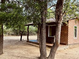 Funky Leopard Safari Lodge Bordering Yala National Park - Hostel