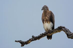 Funky Leopard Safari Lodge Bordering Yala National Park - Hostel