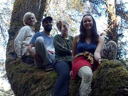 Mount Mahabharat Homestay