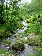 Mount Mahabharat Homestay