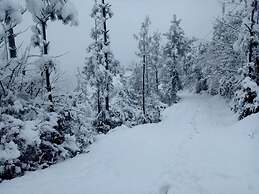 Mount Mahabharat Homestay