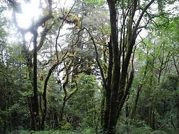 Mount Mahabharat Homestay