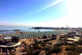Hotel Paloma