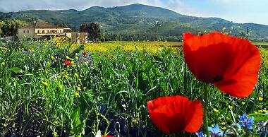 Agriturismo La Petrosa